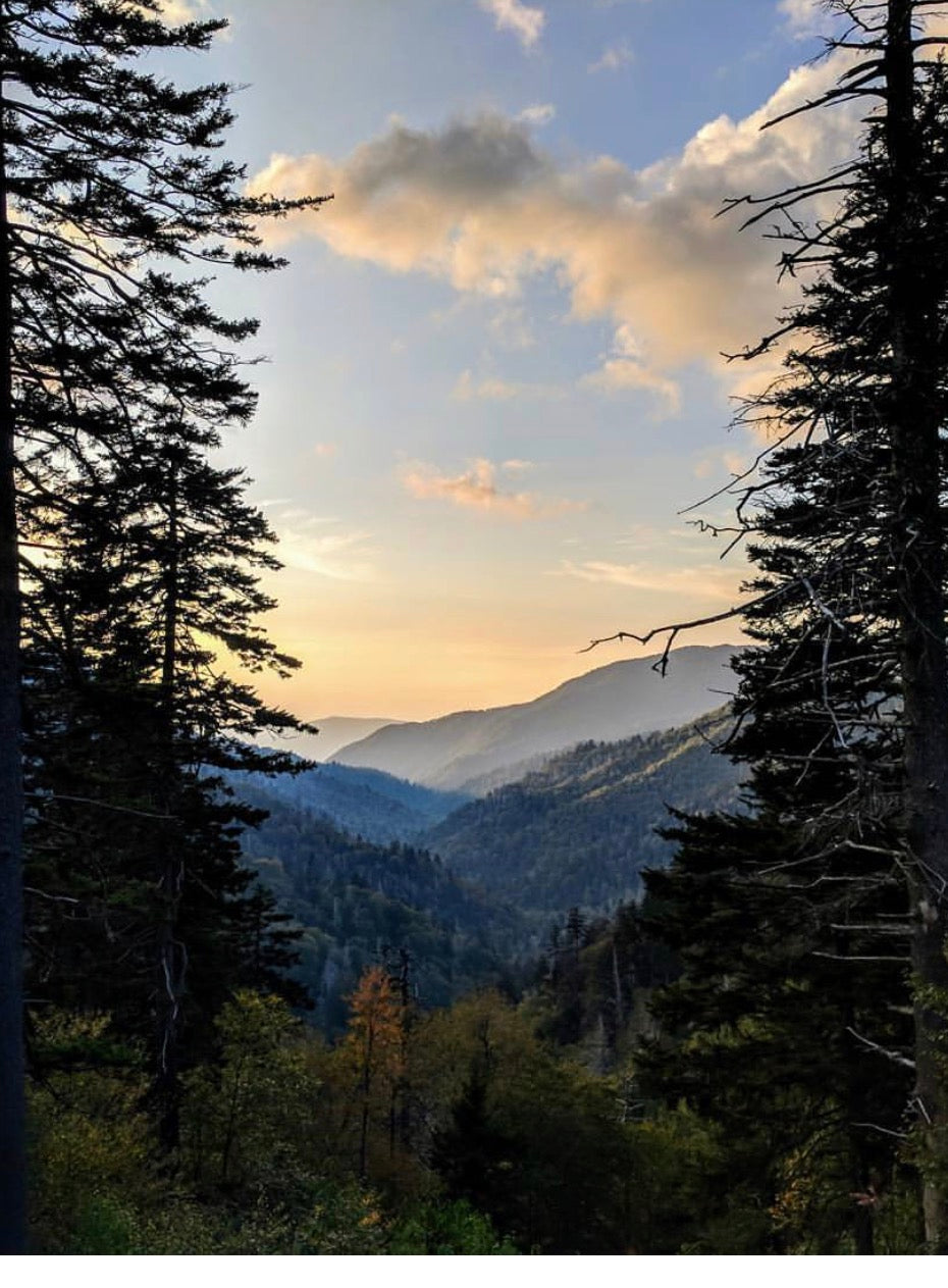Smokey Mountains