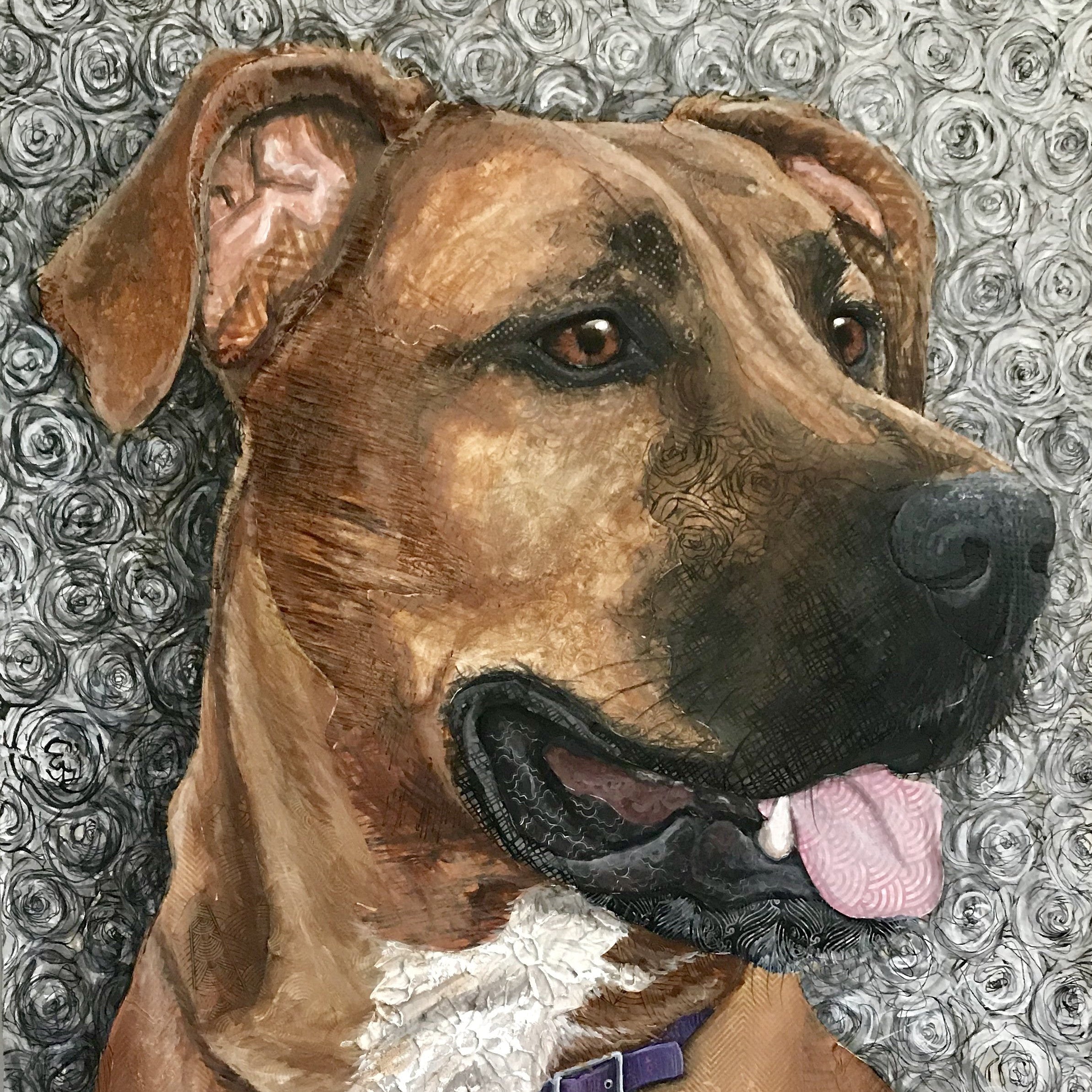 Trooper - Rhodesian Ridgeback