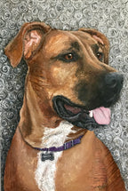 Trooper - Rhodesian Ridgeback