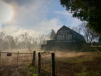 See Rock City Barn