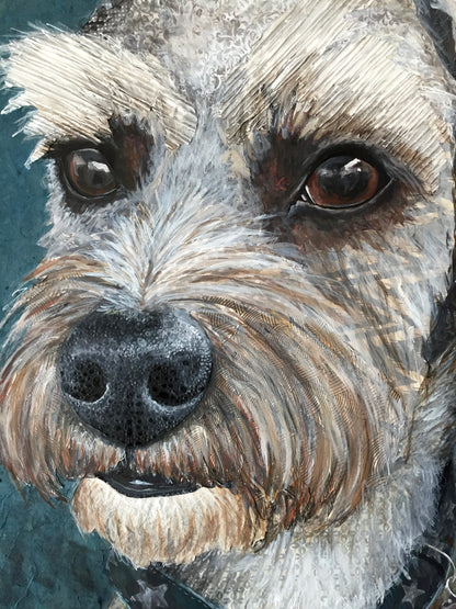 Jake - Schnauzer Mix
