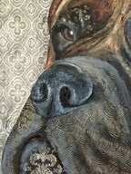 Nessa - Bullmastiff
