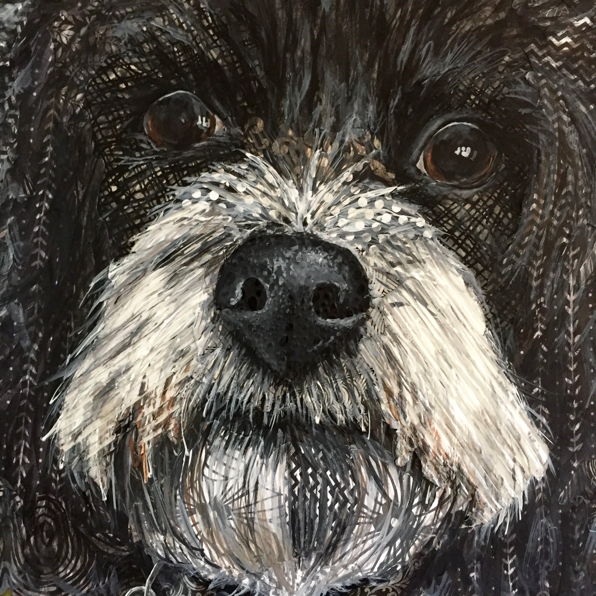 Oscar - Poodle Mix