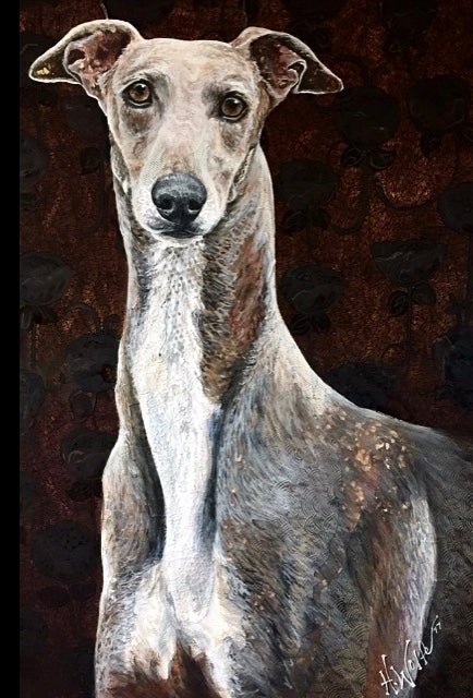 Gia - Greyhound