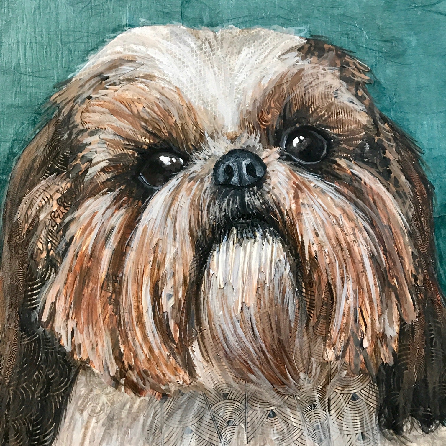 Grace - Shih Tzu