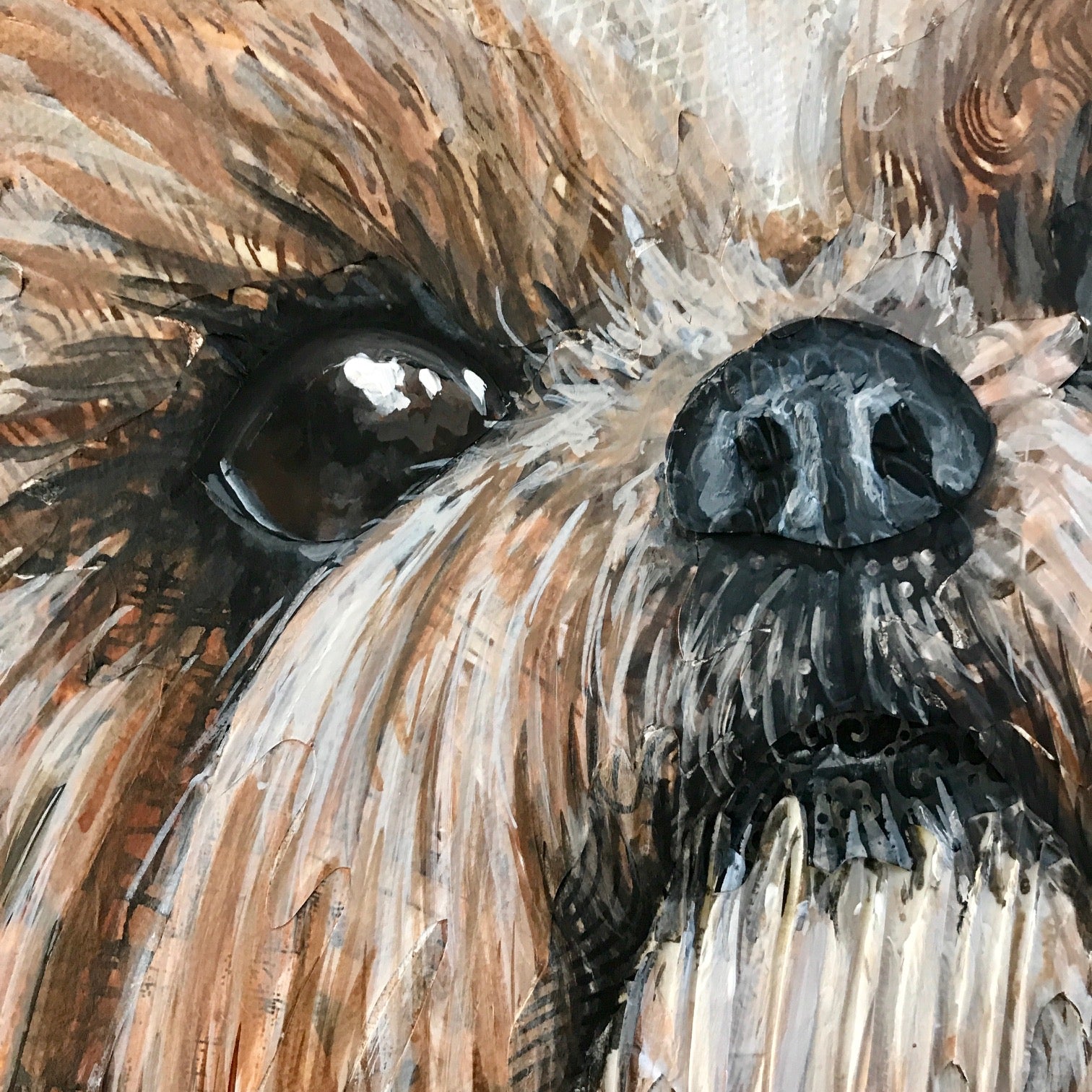 Grace - Shih Tzu
