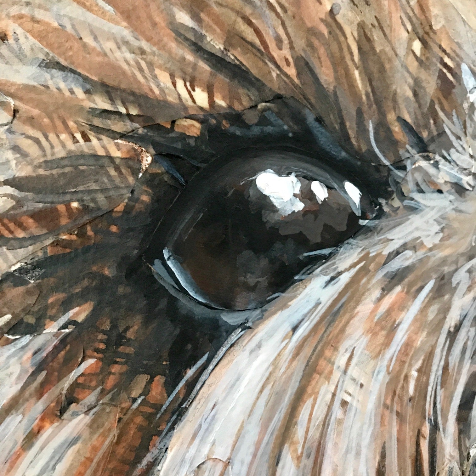Grace - Shih Tzu