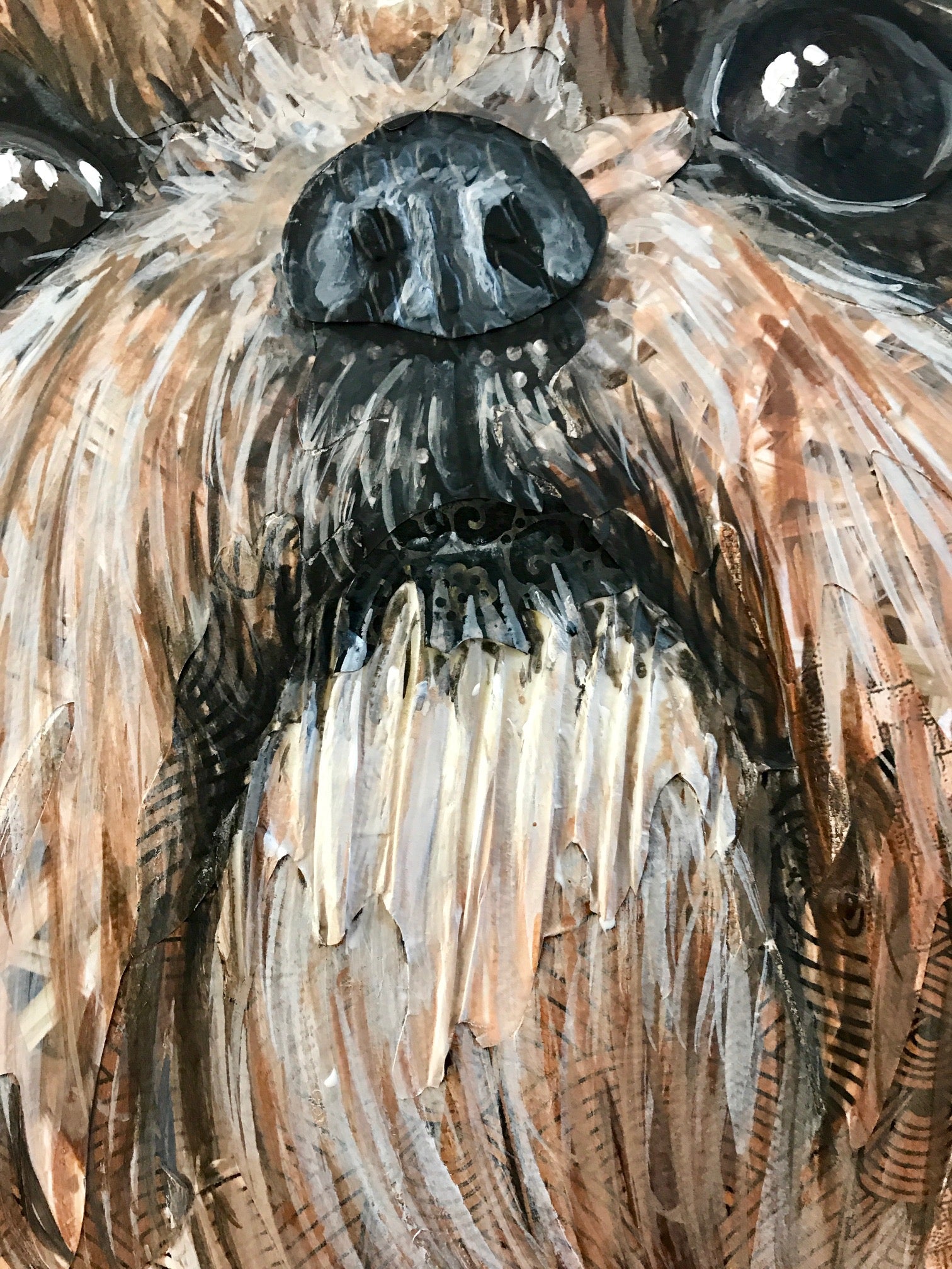 Grace - Shih Tzu