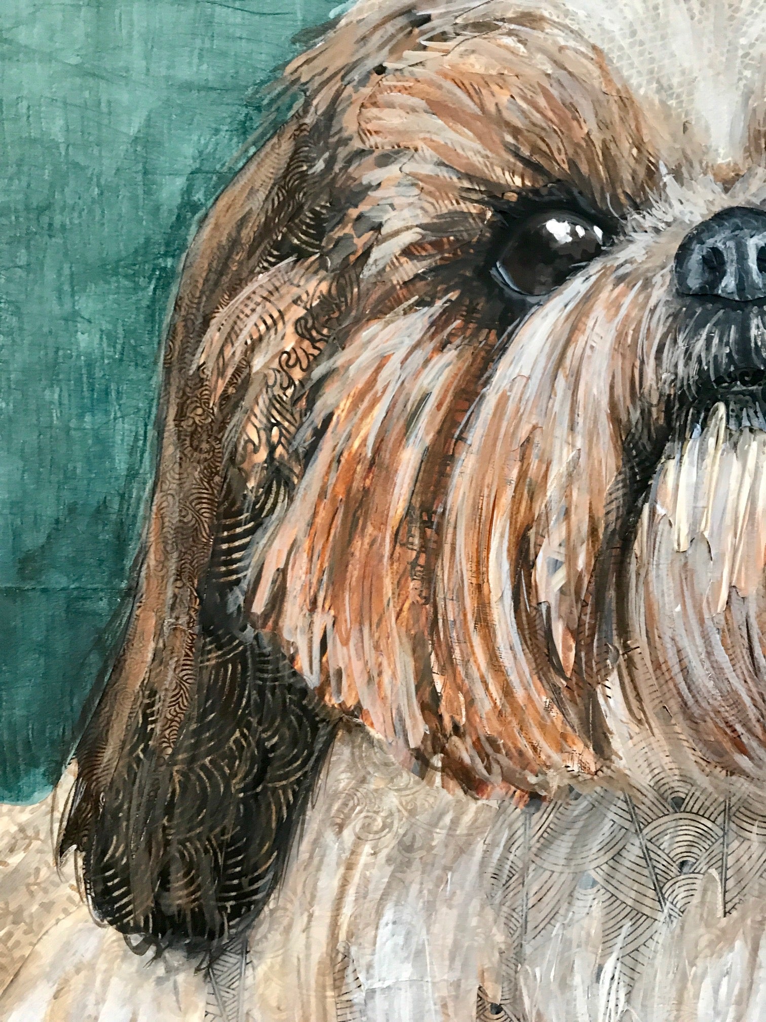 Grace - Shih Tzu