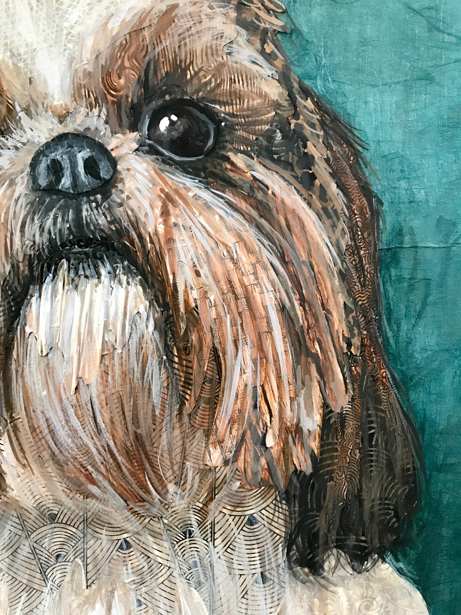 Grace - Shih Tzu