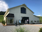 Artist Paints Live at Wedding - Maypop Fields