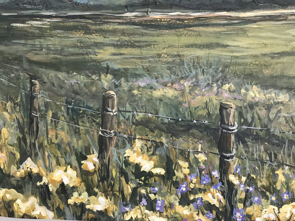 Colorado Landscape