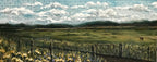 Colorado Landscape