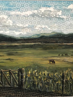 Colorado Landscape