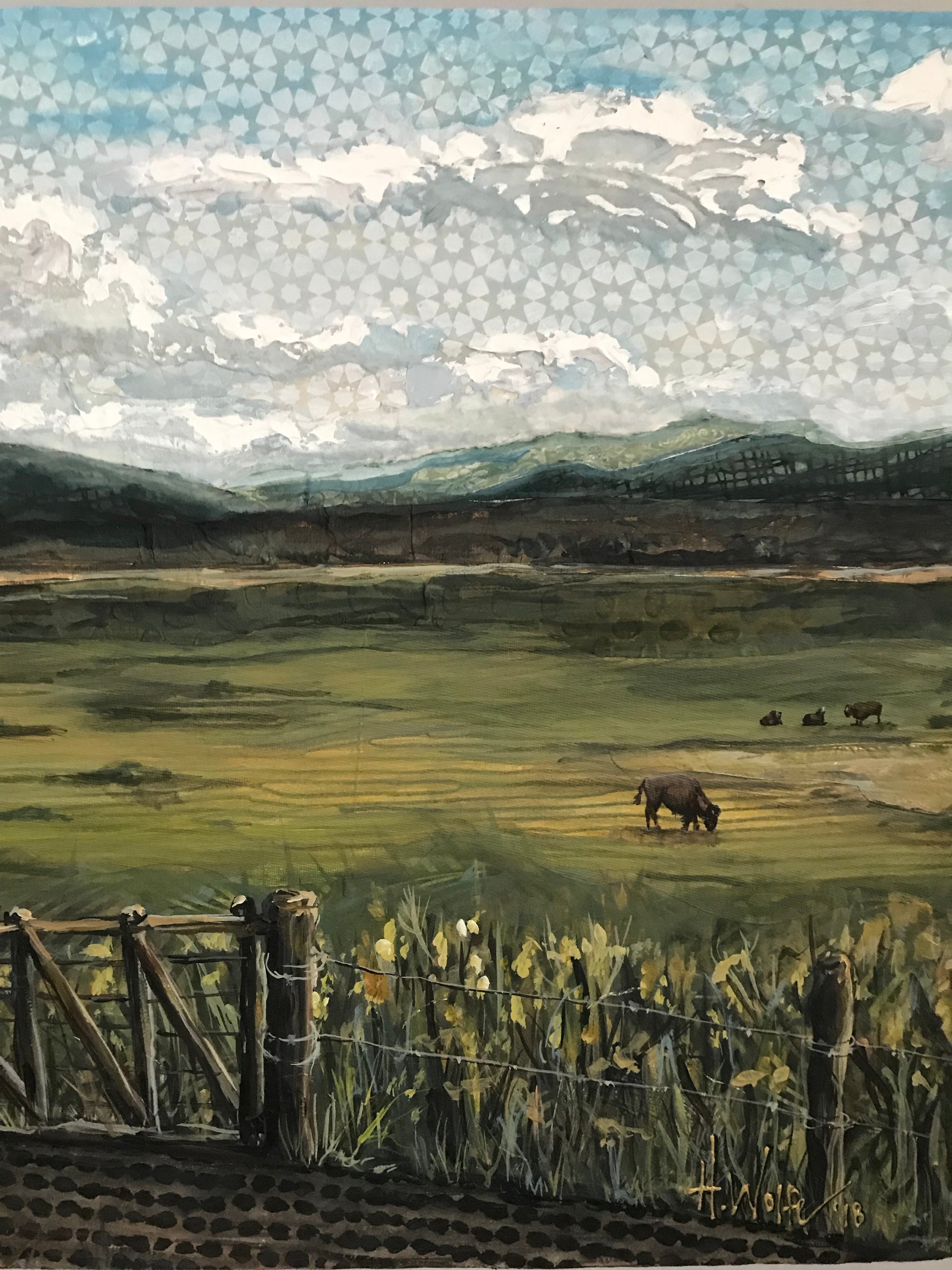 Colorado Landscape